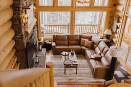 Wild Bear Haven