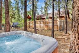 1184-All Season Alpine Retreat