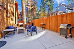 2507-Temple Bear Chalet