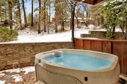 2586-Ours De Ski Chateau