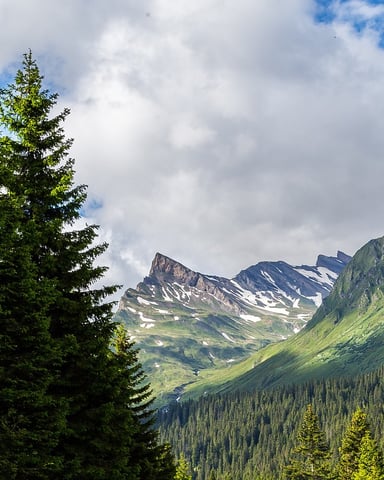 Snow Summit