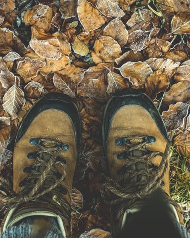 Hiking Trails