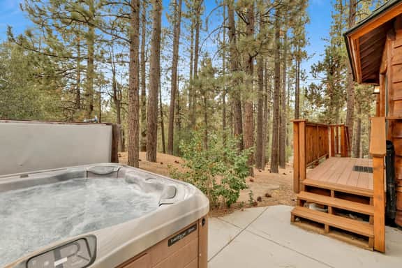 1494-Living Log Cabin