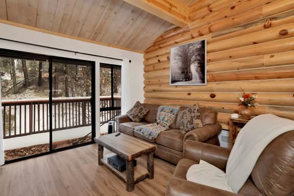 2586-Ours De Ski Chateau