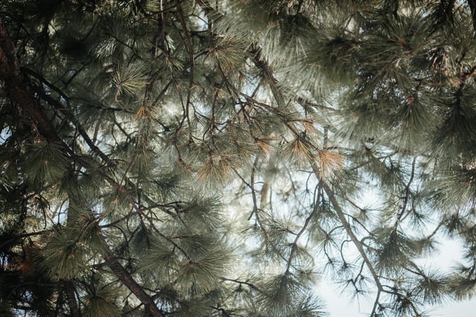 Your Guide to a Spontaneous Getaway in Big Bear Lake